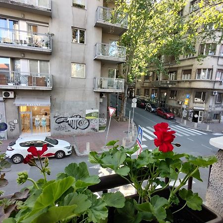Bgholik Studio Apartment Belgrado Buitenkant foto